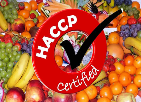 Igiene alimentare e CORSI HACCP a Firenze, Prato, Pistoia e Toscana. Piano di autocontrollo, Formazione per alimentaristi, Campionamenti microbiologici